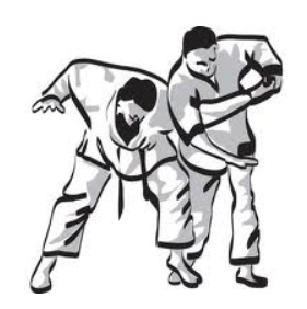judokas en action